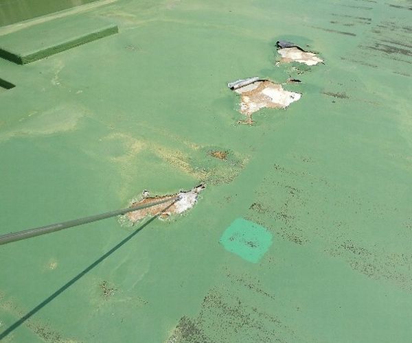 「建築物」の調査項目